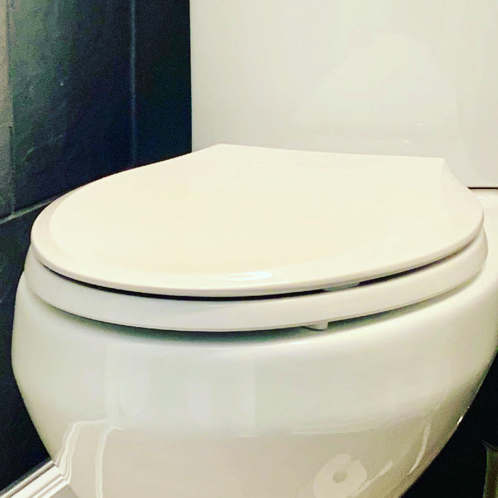 Toilet seat (shipping included)